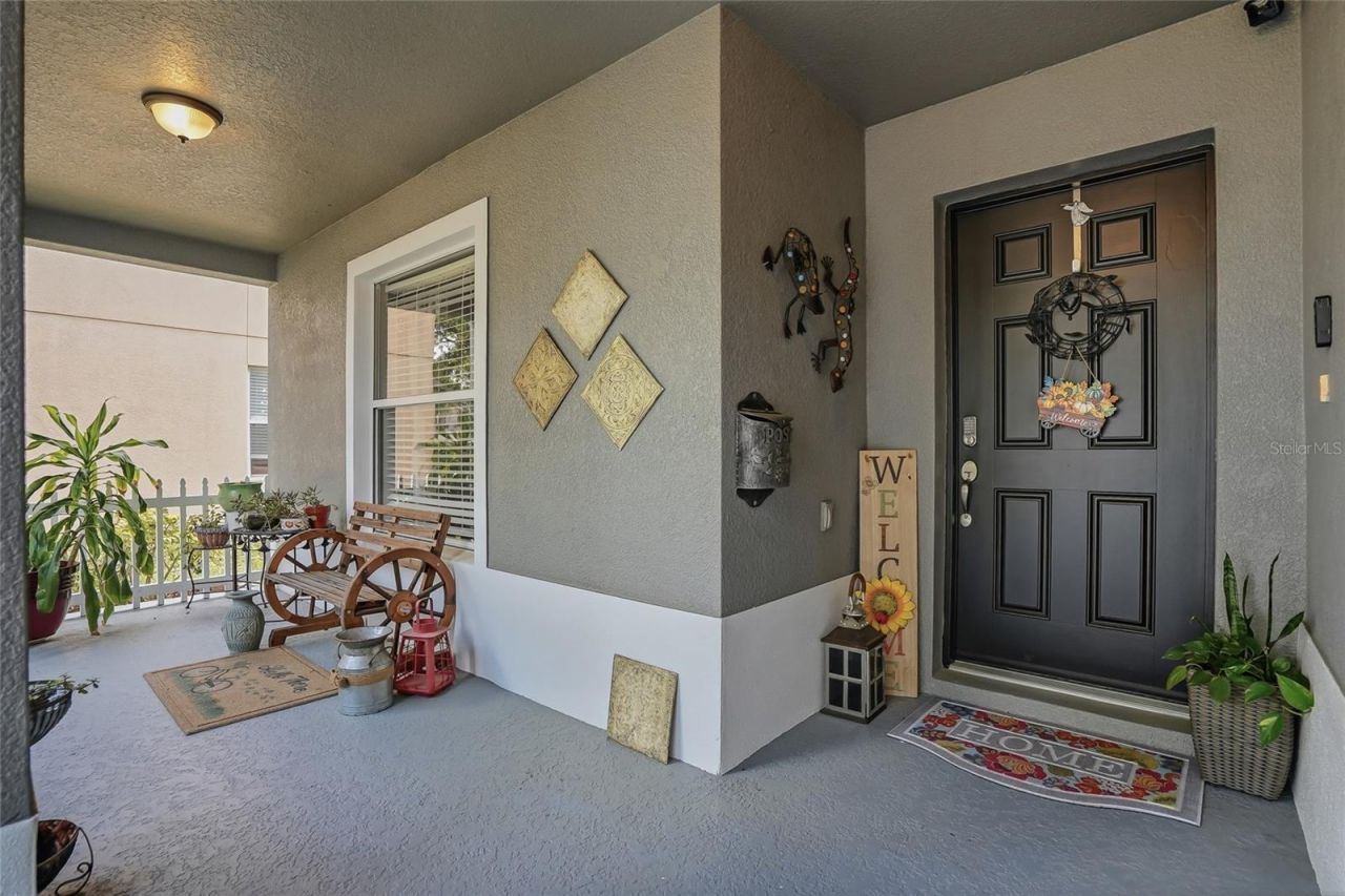 30902 Temple Stand Avenue, Wesley Chapel, FL 33543 Photo