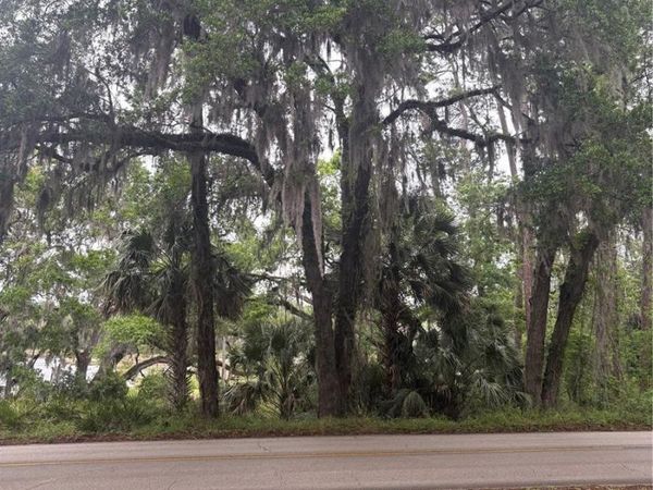 1425 E GRAVES AVENUE , ORANGE CITY, FL 32763