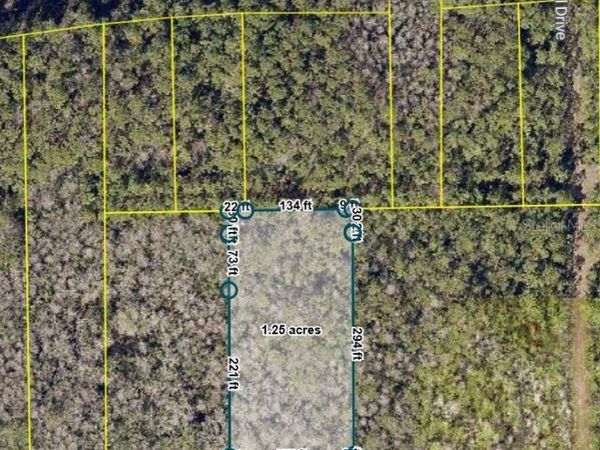 NO STREET , DELAND, FL 32724