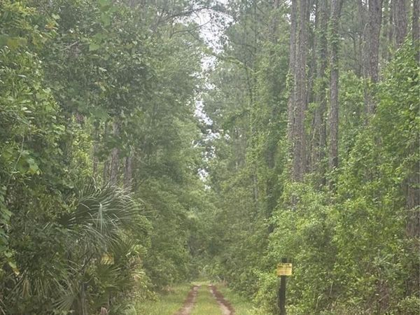 NO STREET , DELAND, FL 32724