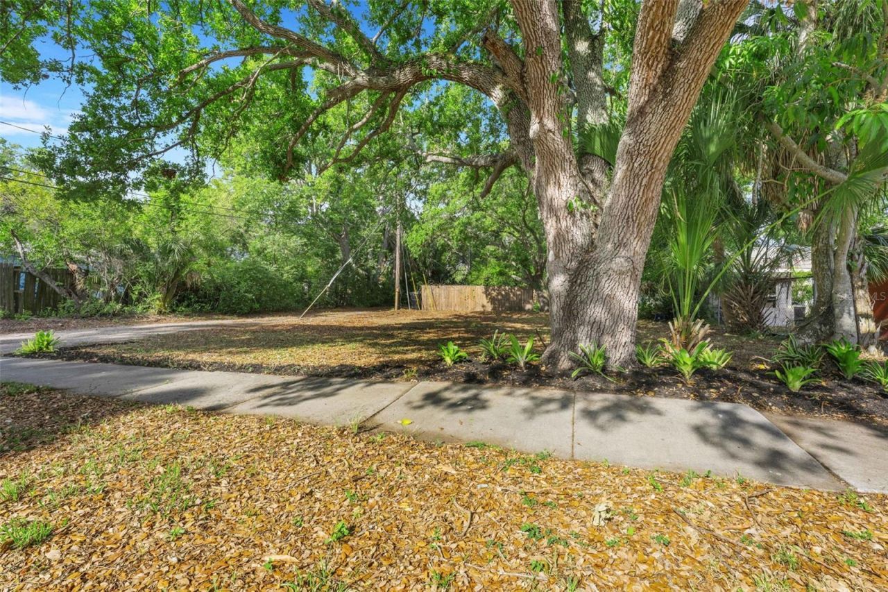 2715 5th Street S, Saint Petersburg, FL 33705 Photo