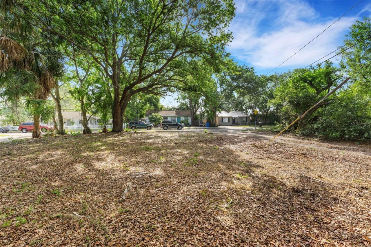 2715 5th Street S, Saint Petersburg, FL 33705 Photo