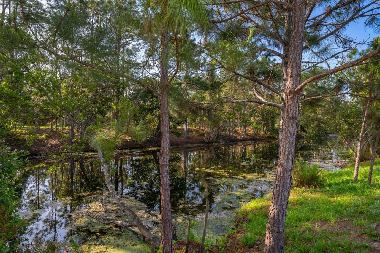 6708 Alder Road , Harmony, FL 34773 Photo