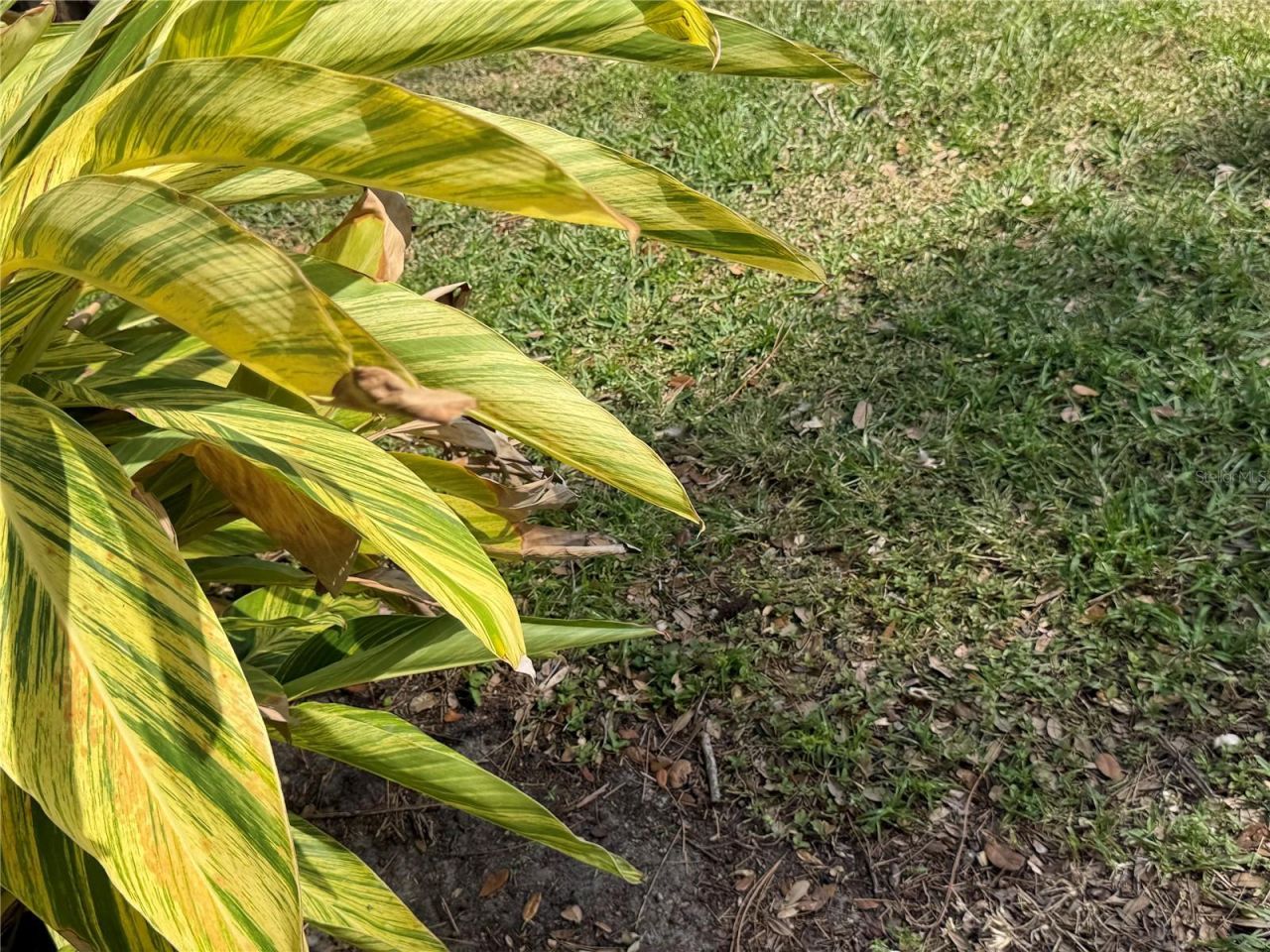 870 Village Lake Terrace N, Unit 101, Saint Petersburg, FL 33716 Photo