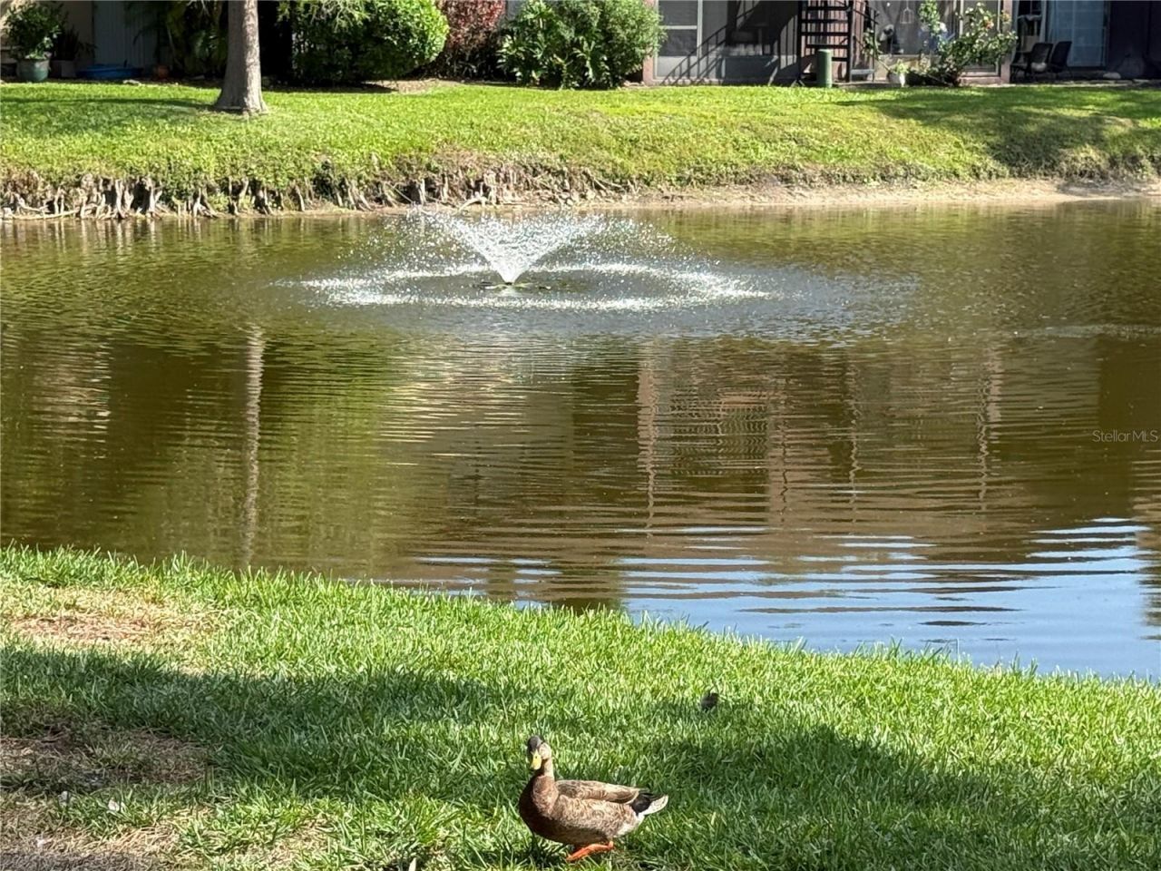 870 Village Lake Terrace N, Unit 101, Saint Petersburg, FL 33716 Photo