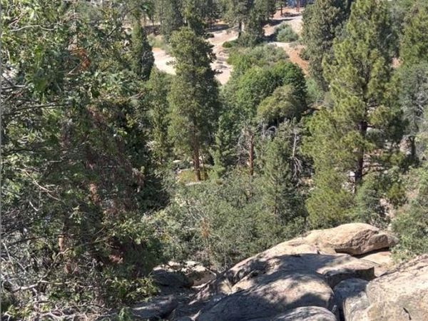 1 Deer Lick Drive, Arrowbear, CA 92382