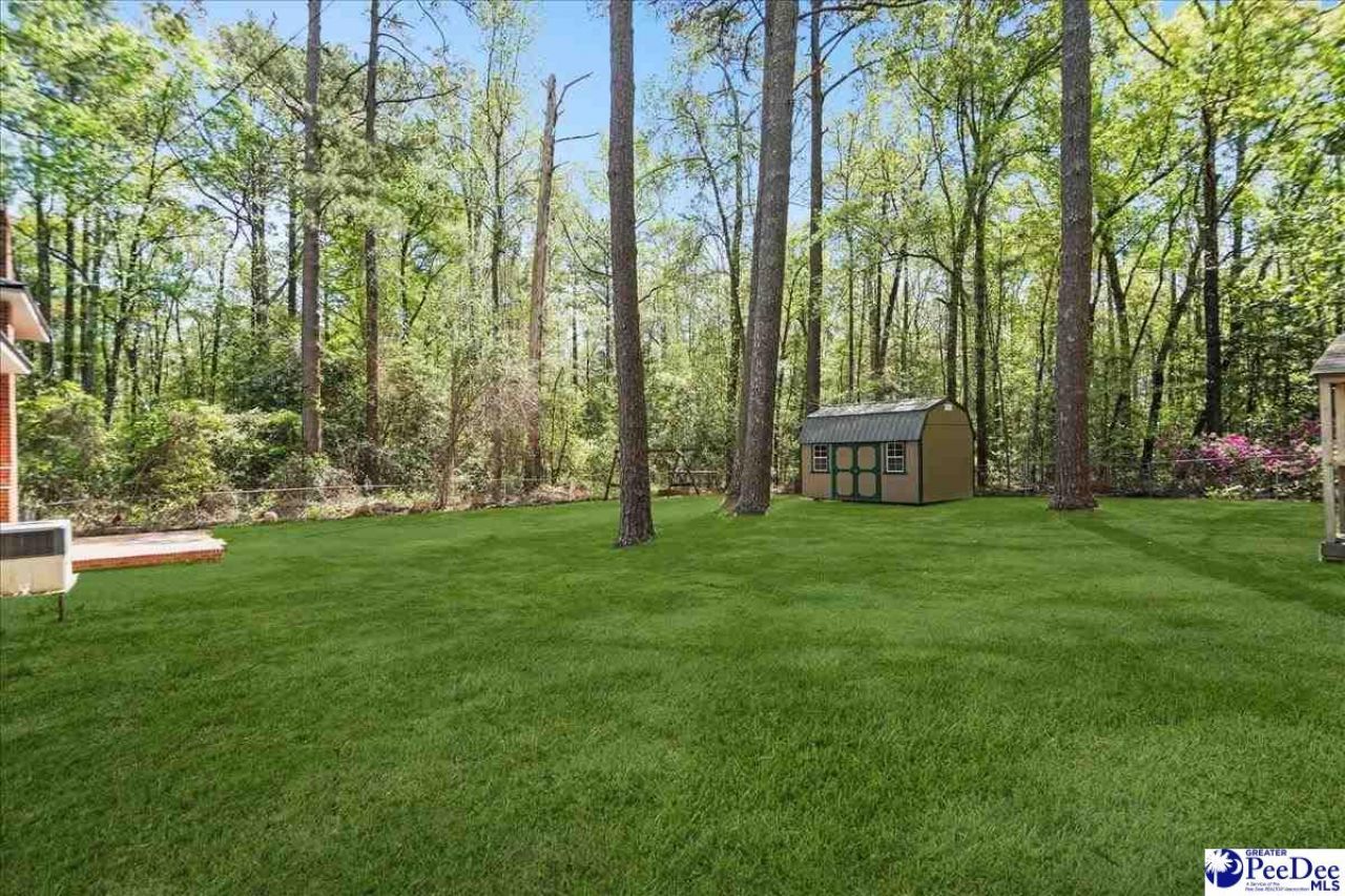 53 Kings Rd Photo 50