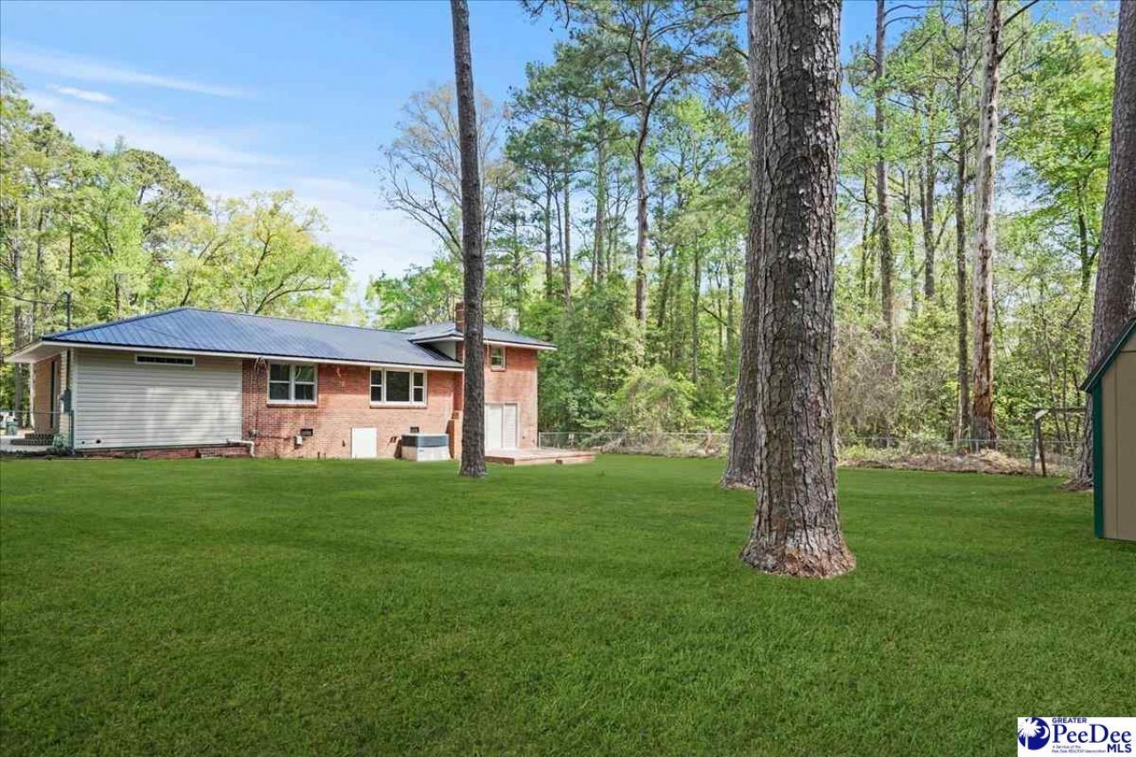 53 Kings Rd Photo 55