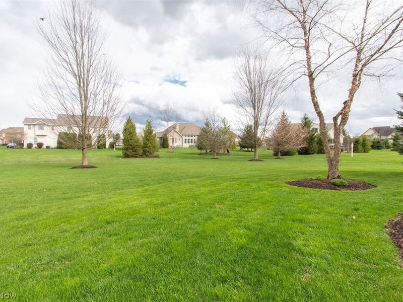 6567 Torington Drive , Medina, OH 44256 Photo 45