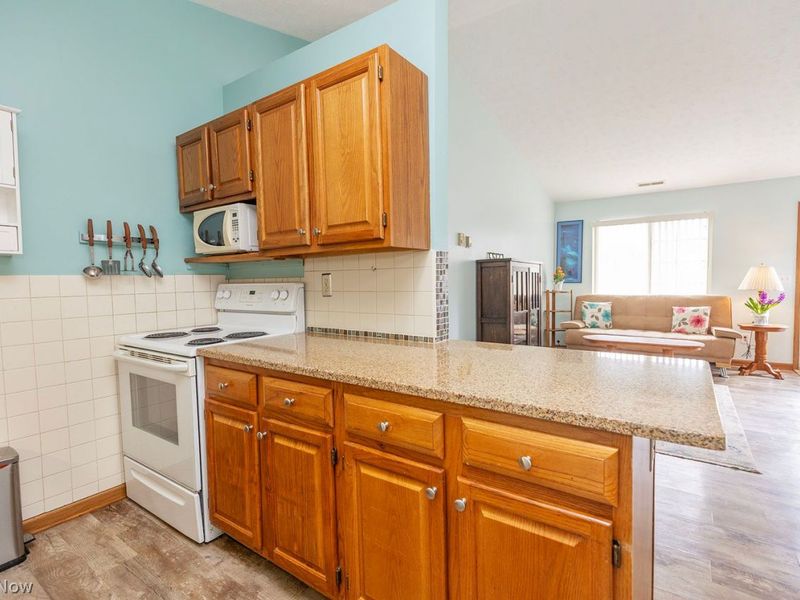 35254 Greenwich Avenue , North Ridgeville, OH 44039 Photo 10