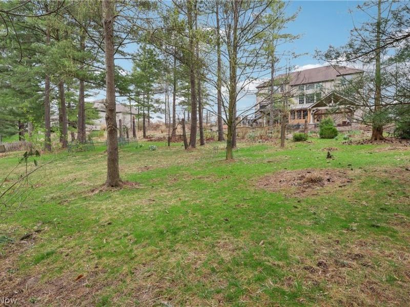 3333 Blue Heron, Medina, OH 44256 Photo 46