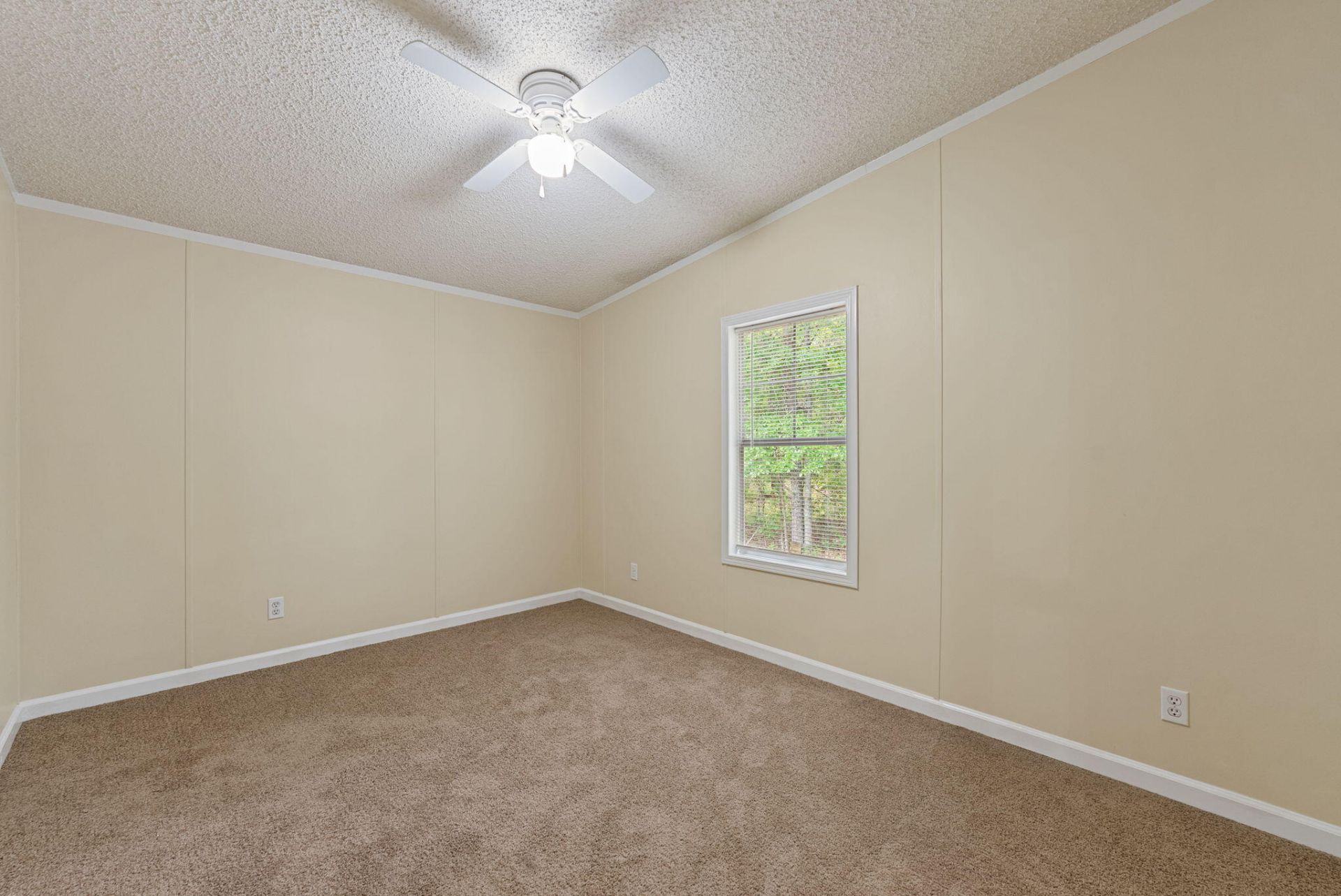 546 Pauline Drive Photo 29