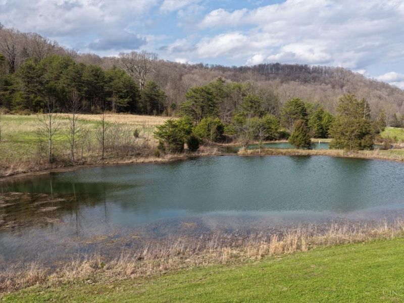 7583 Blue Creek Road, Jefferson Twp, OH 45684 Photo 25