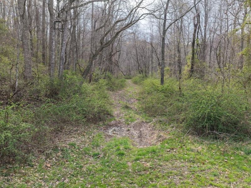 7583 Blue Creek Road, Jefferson Twp, OH 45684 Photo 30