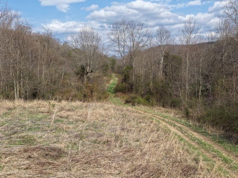 7583 Blue Creek Road, Jefferson Twp, OH 45684 Photo 34