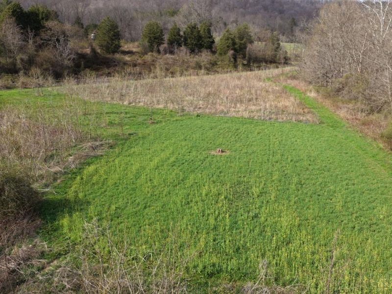 7583 Blue Creek Road, Jefferson Twp, OH 45684 Photo 36