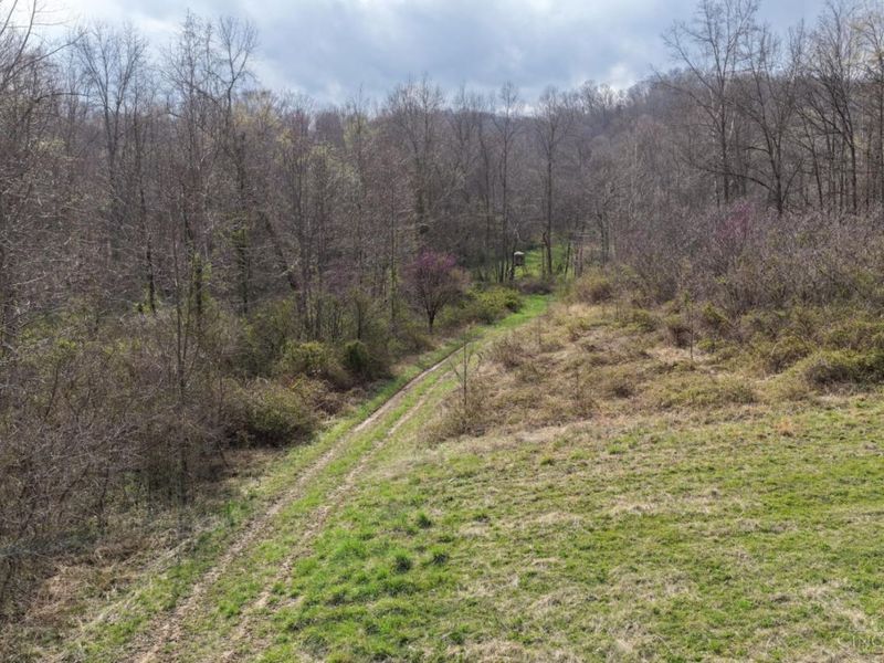 7583 Blue Creek Road, Jefferson Twp, OH 45684 Photo 37