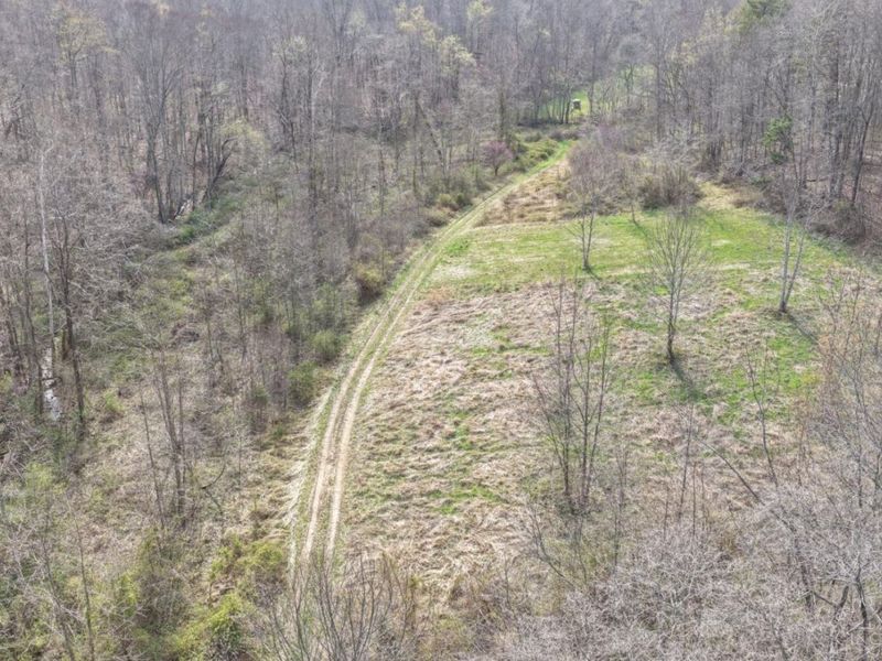 7583 Blue Creek Road, Jefferson Twp, OH 45684 Photo 38