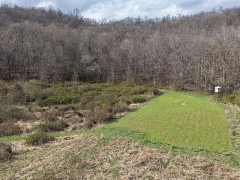 7583 Blue Creek Road, Jefferson Twp, OH 45684 Photo 40