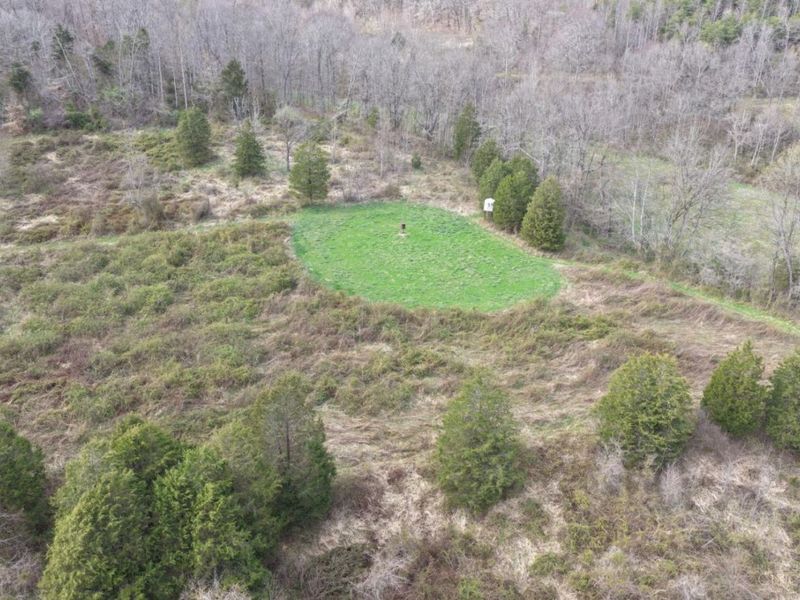 7583 Blue Creek Road, Jefferson Twp, OH 45684 Photo 44