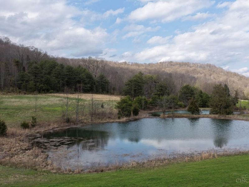 7583 Blue Creek Road, Jefferson Twp, OH 45684 Photo 47