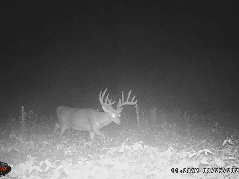 7583 Blue Creek Road, Jefferson Twp, OH 45684 Photo 50