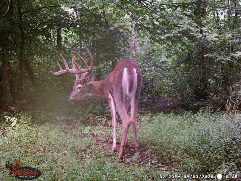 7583 Blue Creek Road, Jefferson Twp, OH 45684 Photo 52