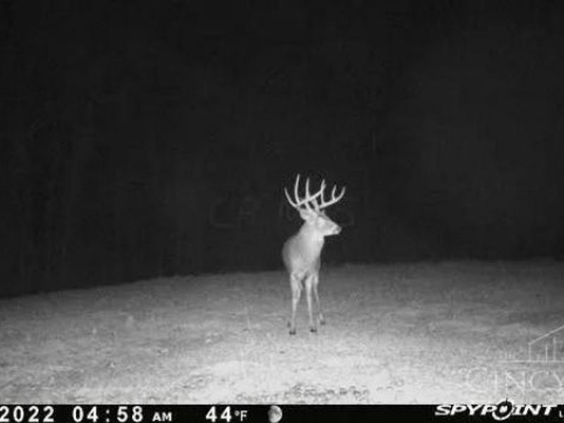 7583 Blue Creek Road, Jefferson Twp, OH 45684 Photo 53