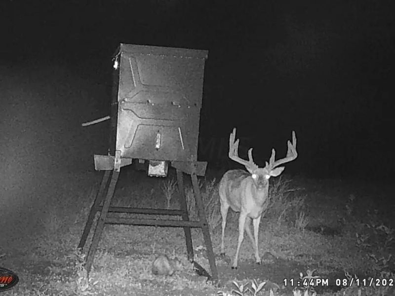 7583 Blue Creek Road, Jefferson Twp, OH 45684 Photo 54