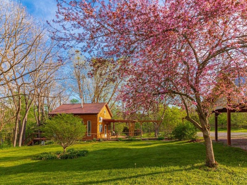 1225 Stoney Road, Peebles, OH 45660 Photo 2