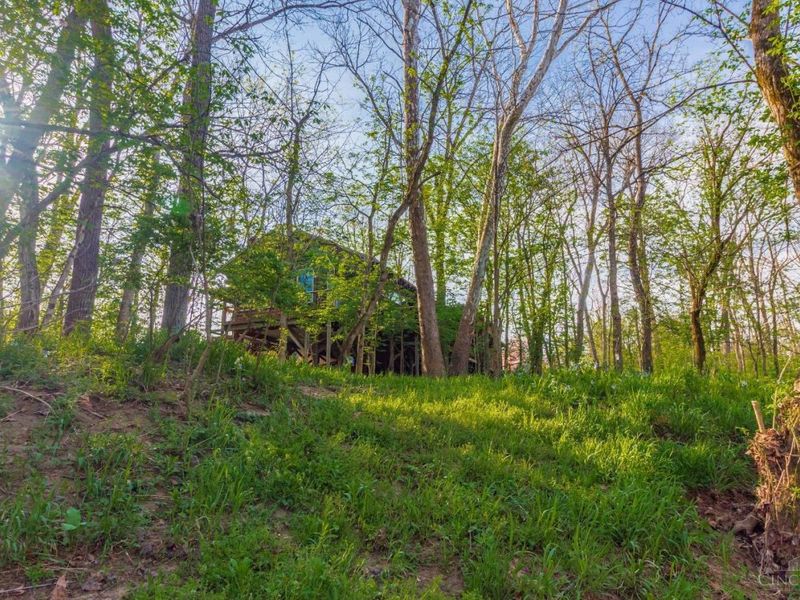 1225 Stoney Road, Peebles, OH 45660 Photo 52