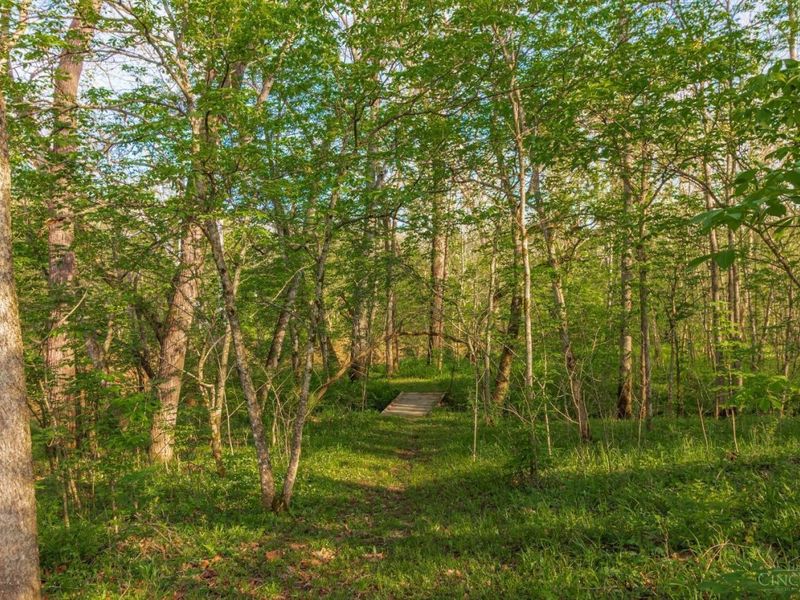 1225 Stoney Road, Peebles, OH 45660 Photo 58