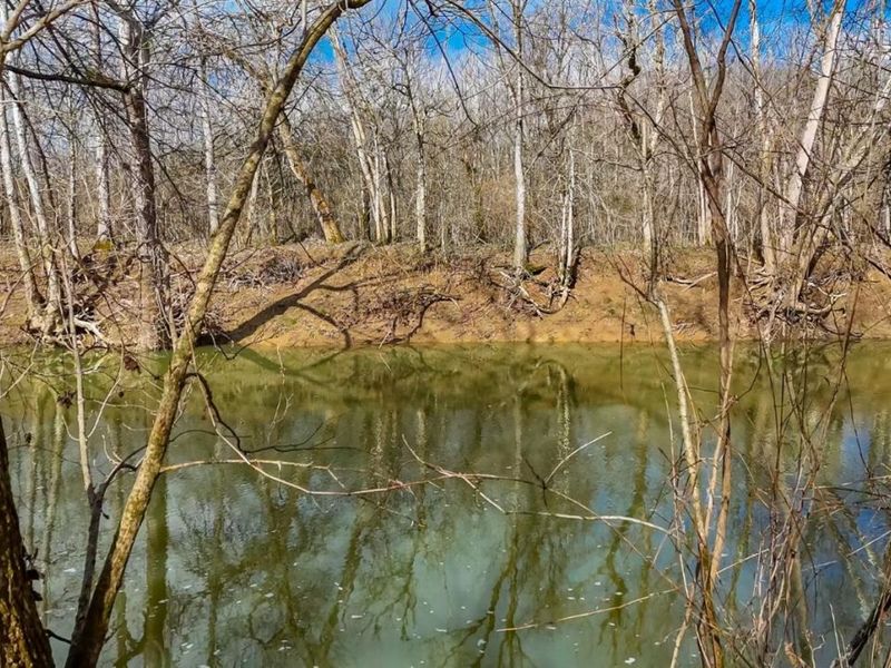 1225 Stoney Road, Peebles, OH 45660 Photo 59