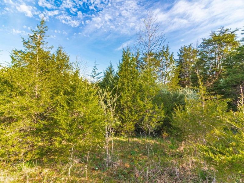 1225 Stoney Road, Peebles, OH 45660 Photo 63