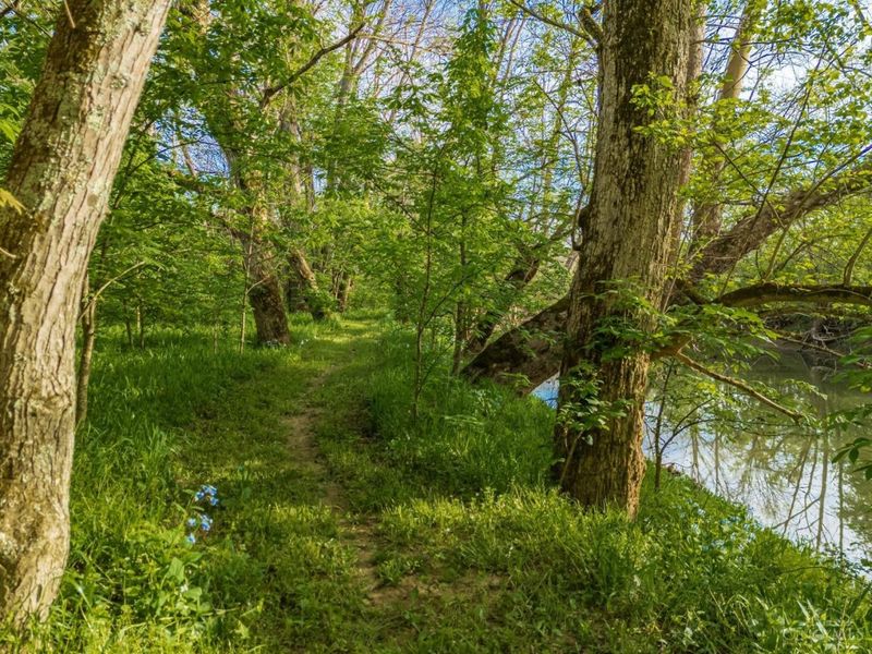 1225 Stoney Road, Peebles, OH 45660 Photo 65