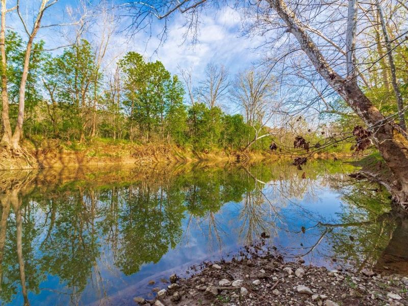 1225 Stoney Road, Peebles, OH 45660 Photo 67