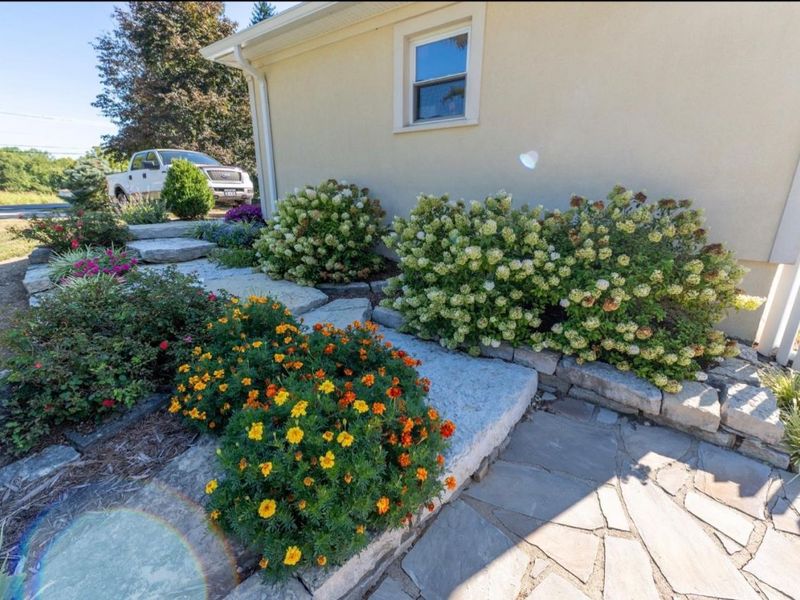 817 Locust Corner Road, Pierce Twp, OH 45245 Photo 74