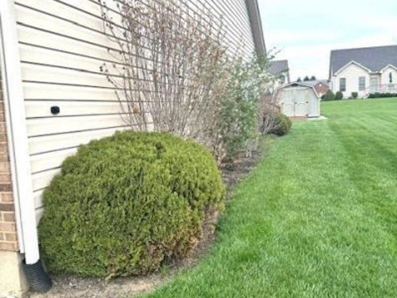 918 Willow Bend, Wilmington, OH 45177 Photo 10