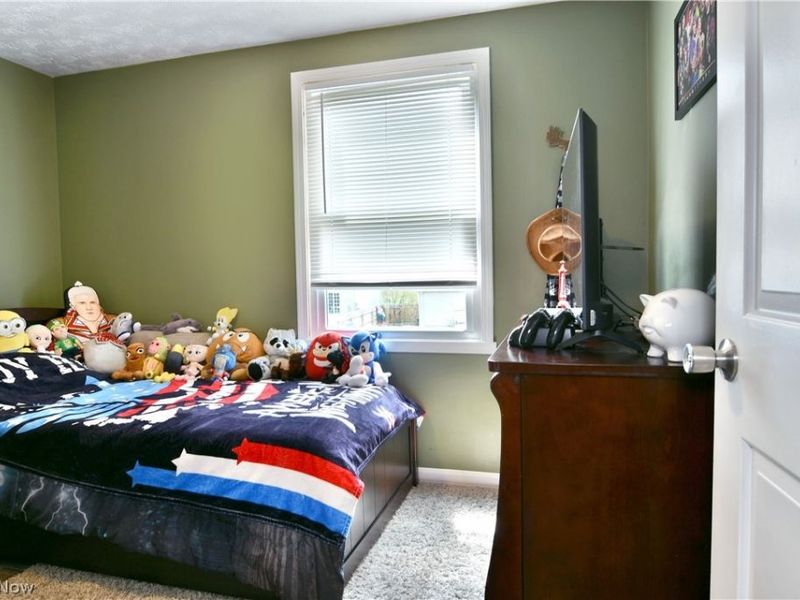 353 Stahl Avenue , Cortland, OH 44410 Photo 38