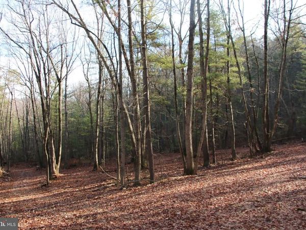 VALLEY BURG ROAD , LURAY, VA 22835