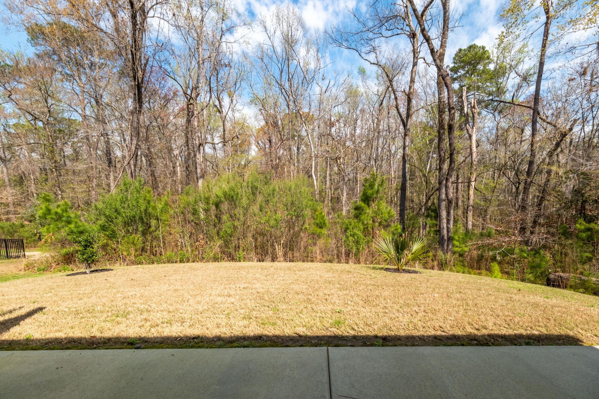 4047 Aspera Drive Photo 34