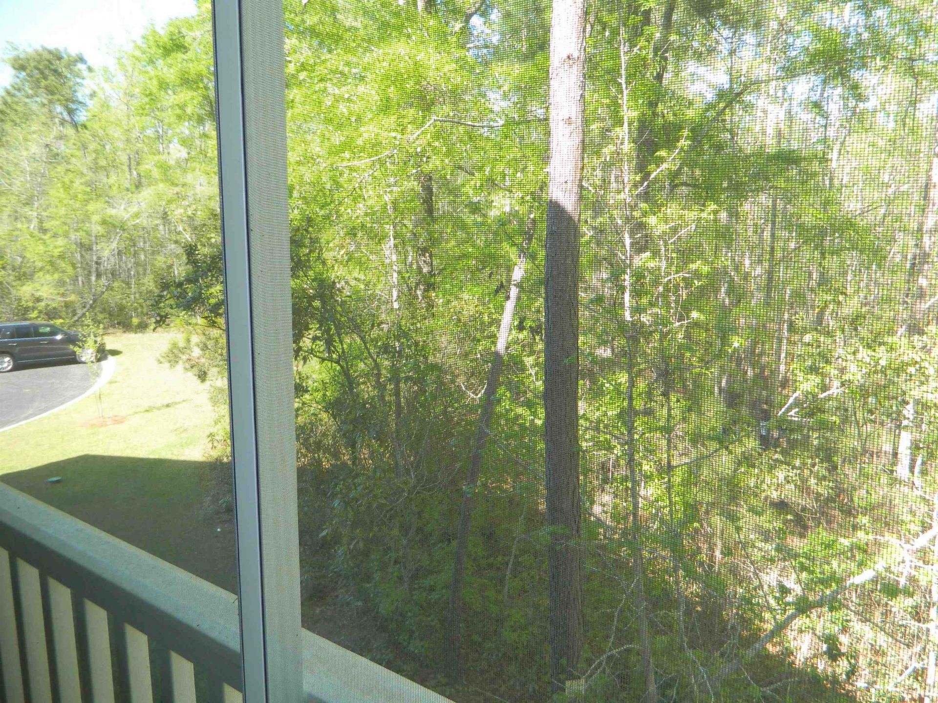 1407 Gooseneck Place  Photo 21