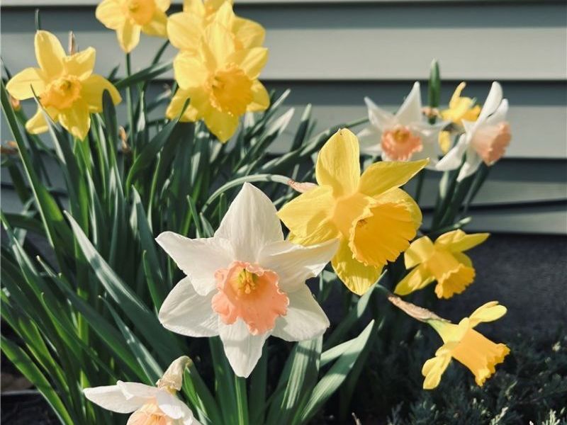 7063 Lake Road , Madison, OH 44057 Photo 3