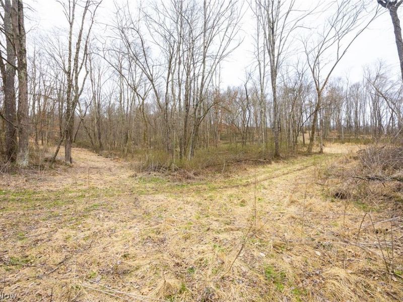 Township Road 71 , Killbuck, OH 44637 Photo 11