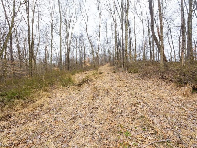 Township Road 71 , Killbuck, OH 44637 Photo 12