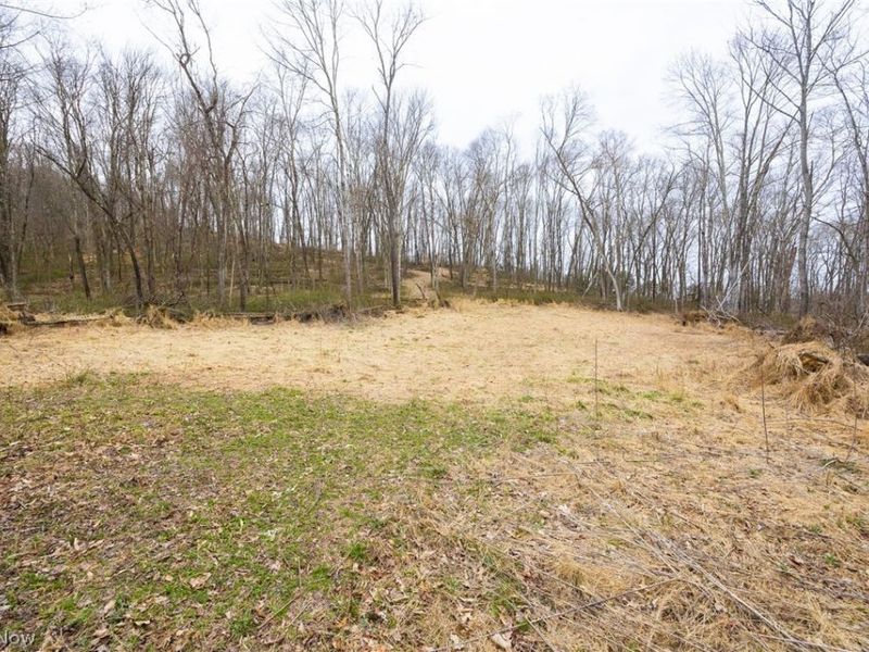 Township Road 71 , Killbuck, OH 44637 Photo 13