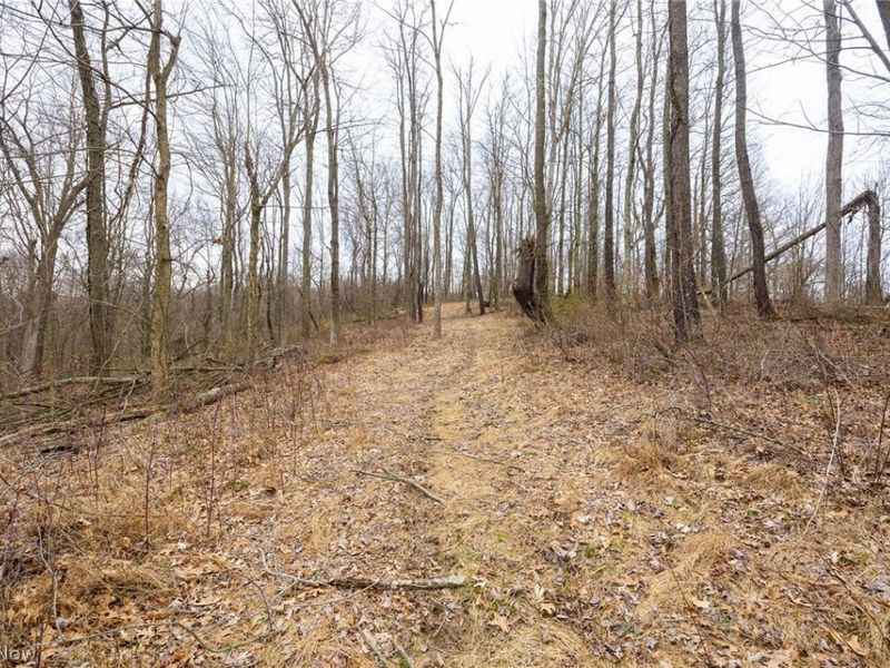 Township Road 71 , Killbuck, OH 44637 Photo 14