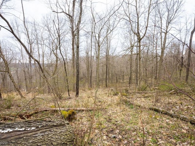 Township Road 71 , Killbuck, OH 44637 Photo 15