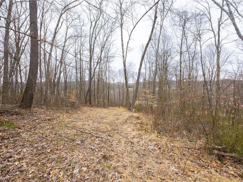 Township Road 71 , Killbuck, OH 44637 Photo 16