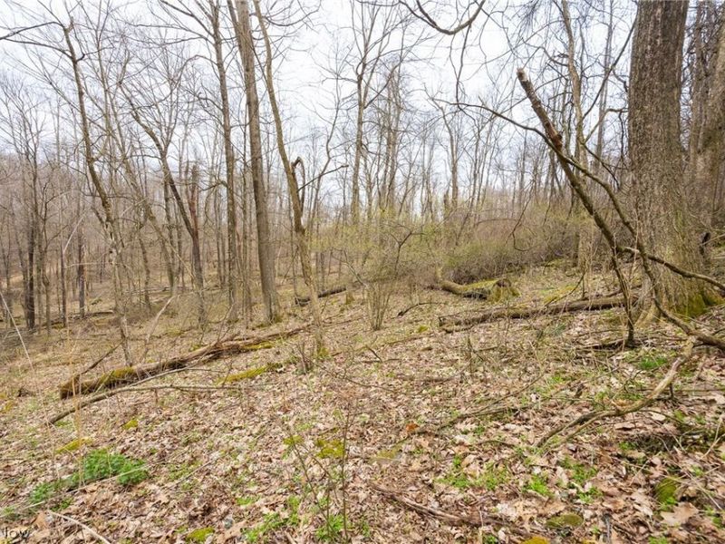 Township Road 71 , Killbuck, OH 44637 Photo 17